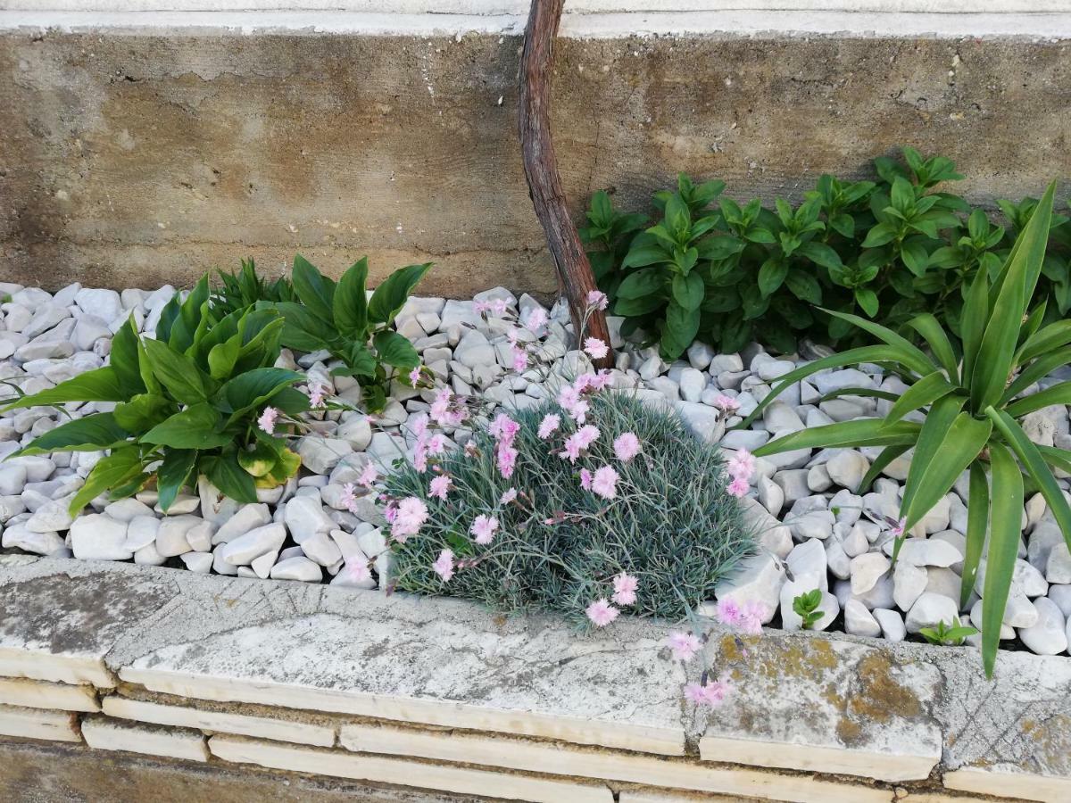 Apartman 2 Zadar Luaran gambar