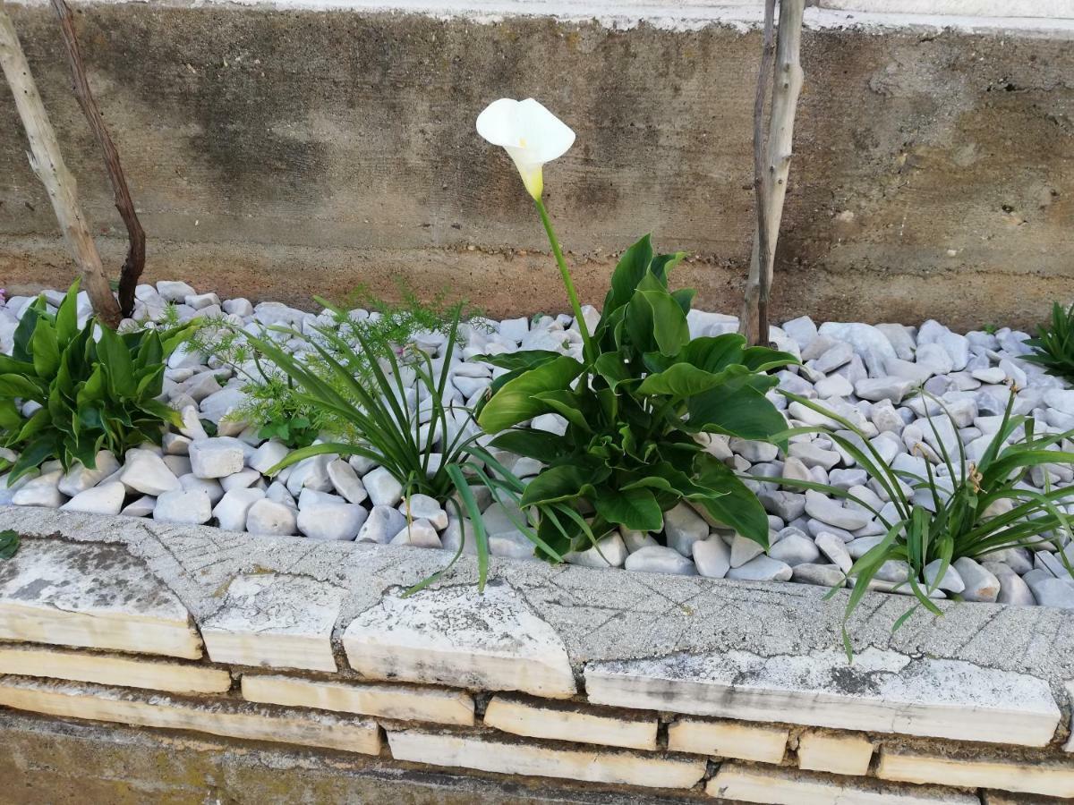 Apartman 2 Zadar Luaran gambar