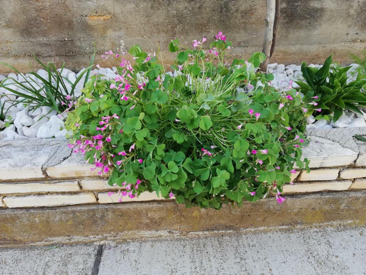 Apartman 2 Zadar Luaran gambar